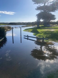 Spring_Creek_20260605_7_6.jpeg: 