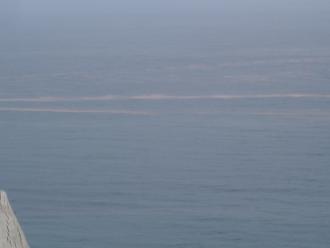 algael bloom from Teddy's lookout 121129