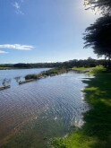 Spring_Creek_20260605_8_6.jpeg