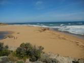 Hopkins Mouth Berm